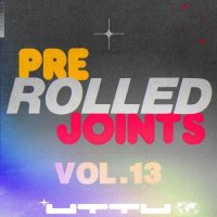 VA - 200% Garage: Pre-Rolled Joints, Vol. 13 (2026) MP3