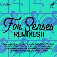 VA - For Senses Remixes II (2026) MP3