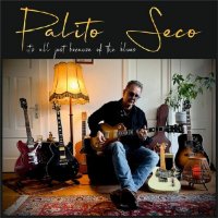 Palito Seco - It's All Just Because Of The Blues (2026) MP3