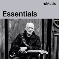 David Gilmour - Essentials (2025) MP3