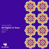 VA - AH Digital 11 Years, Pt. 2 (2026) MP3