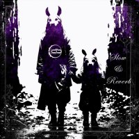 Desastroes - Slow & Reverb (2026) MP3