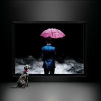 Unicorn Umbrellas - Every Picture Tells A Story (2026) MP3