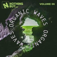 VA - Nothing But... Organic Waves, Vol. 06 (2026) MP3