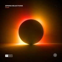 VA - Noir Spring Selections 2026 (2026) MP3