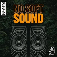 Veak - No Soft Sound (2026) MP3