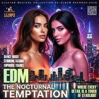 VA - The Nocturnal Temptation (2026) MP3