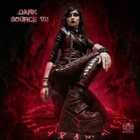 VA - Dark Sourse VII (2026) MP3