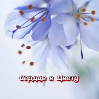 ���������� - ������ � ����� (2026) MP3