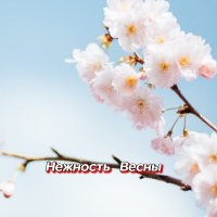 ���������� - �������� ����� (2026) MP3