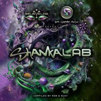 VA - ShankaLab (2026) MP3