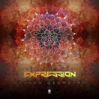 Psilocybe Project - Broken Geometry (2026) MP3