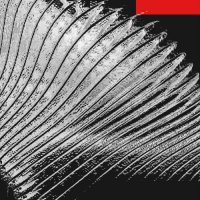 Danniel Selfmade - Fragments of Modular Mind (2026) MP3