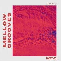 VA - Mellow Grooves Volume 50 (2026) MP3