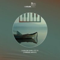 VA - Sanelow Dark, Vol. 22 (2026) MP3