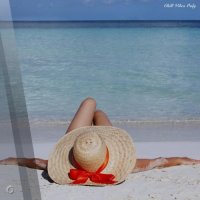 VA - Chill Vibes Only (2026) MP3