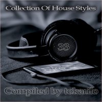 VA - Collection Of House Styles 33 [Compiled by tokarilo] (2026) MP3