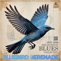 VA - Bluebird Serenade (2026) MP3