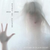 Beauty in Chaos - Hidden in Plain Sight [2018-2025] (2026) MP3