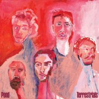 Pond - Terrestrials (2026) MP3