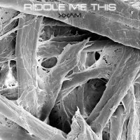 Xxäm - Riddle Me This [EP] (2026) MP3