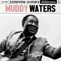 Muddy Waters - Essential Classics, Vol. 396: Muddy Waters [Remastered] (2024) MP3